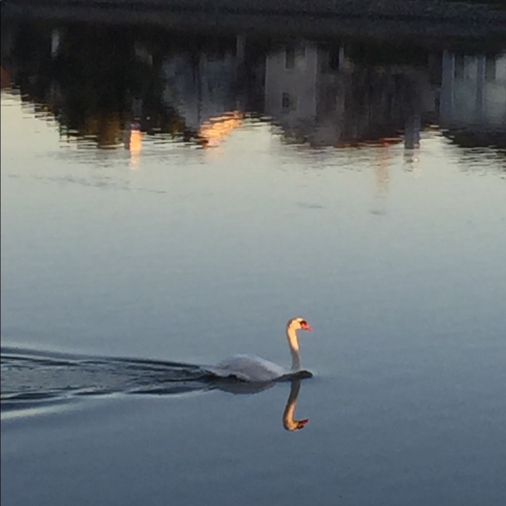 Meet your Posher, Nancy